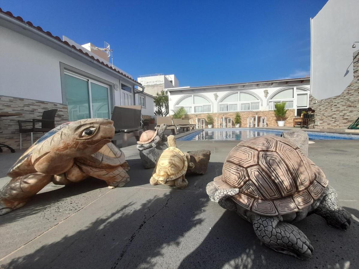 Apartment Tenerife Little Village *